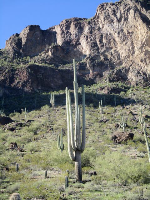 Hunter Trail to Picacho Peak
