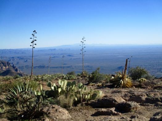 Siphon Draw to Flatiron