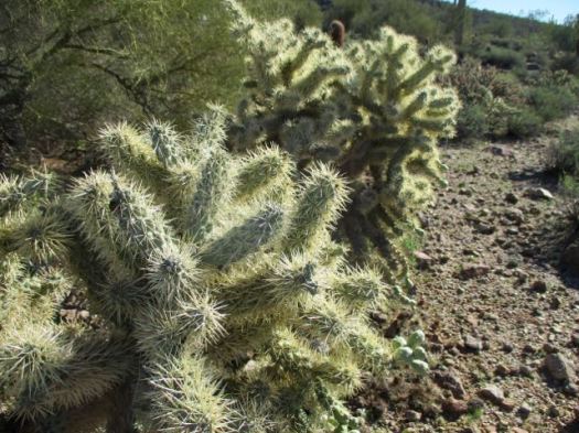 Wind Cave, Phoenix AZ with Francis