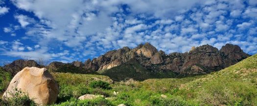 omdp_nm-widepar-61862-image-wideparimage-0-1