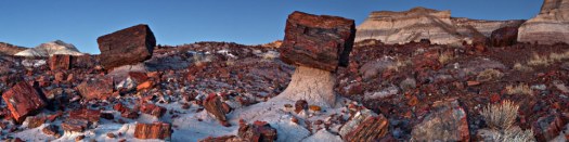 petrified-forest-national-park