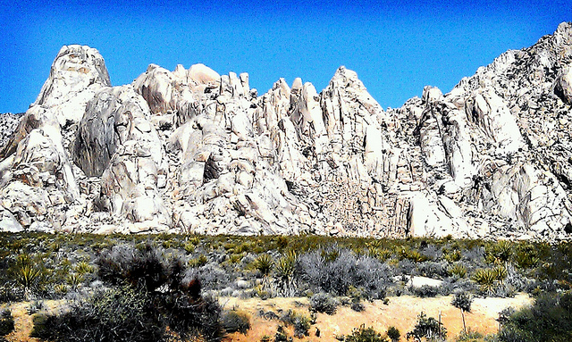 8697742772_37c37b6e96_z