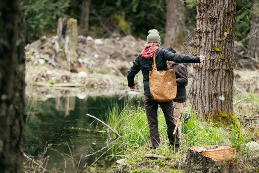 top_national_forests_hiking