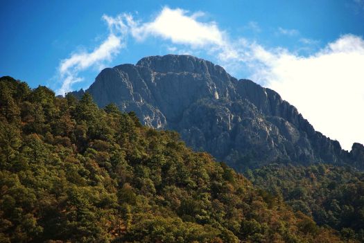 Mount Wrightson from Madera Canyon.