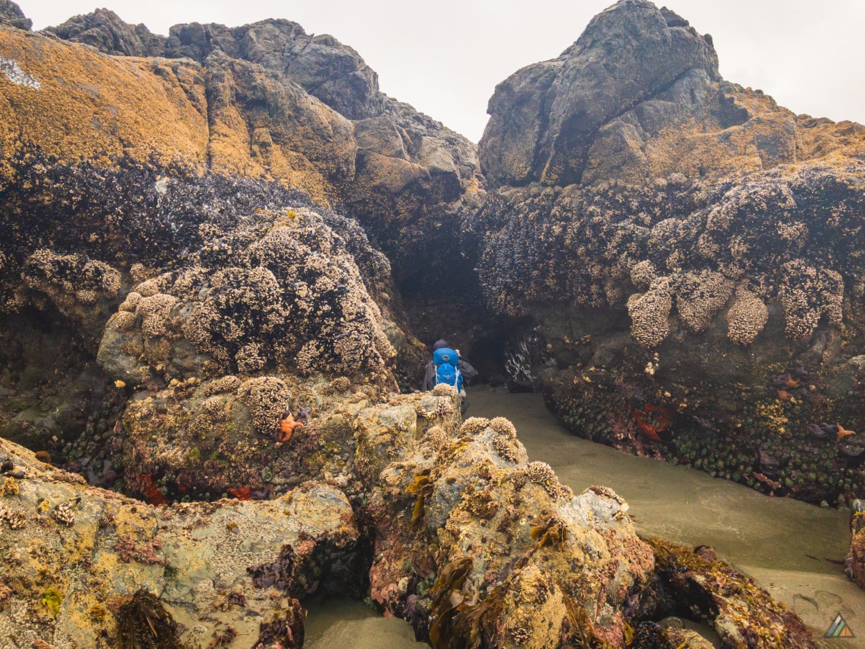 Pacific Rim Walk In Sea Pacific Rim Traverse in British Columbia – besthike.com